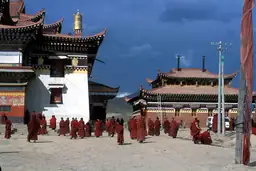 雍仲本教